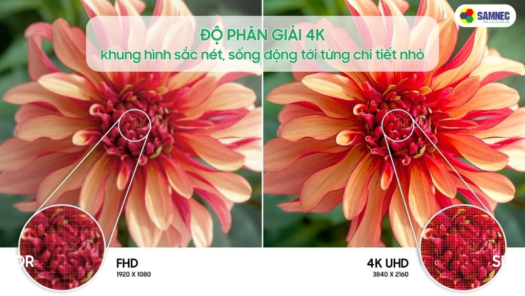 Độ phân giải 4K của tivi Samsung AU8100