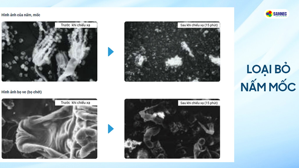Điều hòa Daikin sử dụng công nghệ Streamer giúp loại bỏ nấm mốc