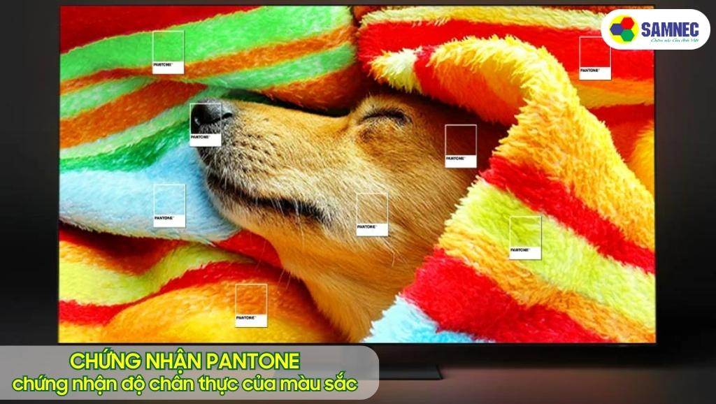 Chứng nhận độ chân thực PANTONE trên tivi Samsung Q80C