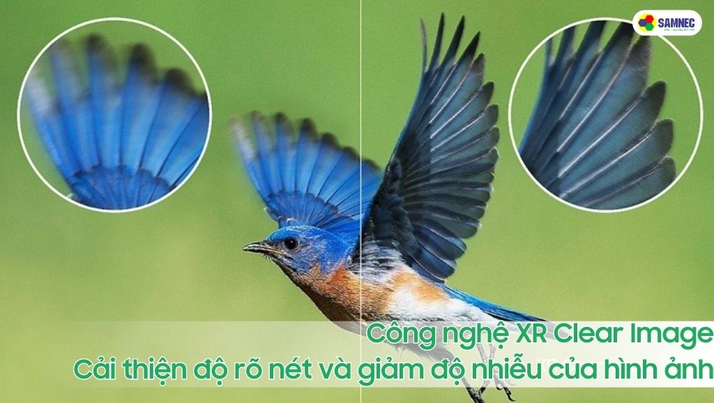 Công nghệ hình ảnh XR Clear Image