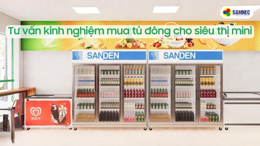 Tư vấn kinh nghiệm mua tủ đông cho siêu thị mini