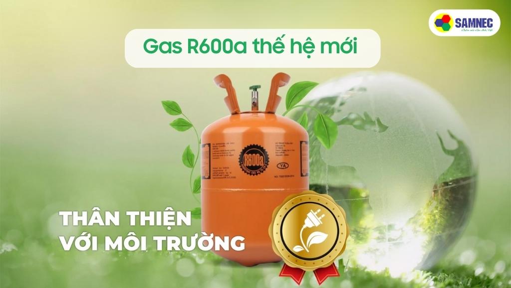 Tủ đông sử dụng gas R600a cho siêu thị mini