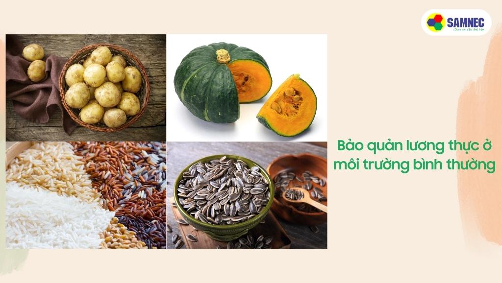 Bảo quản các loại lương thực ở nhiệt độ phòng
