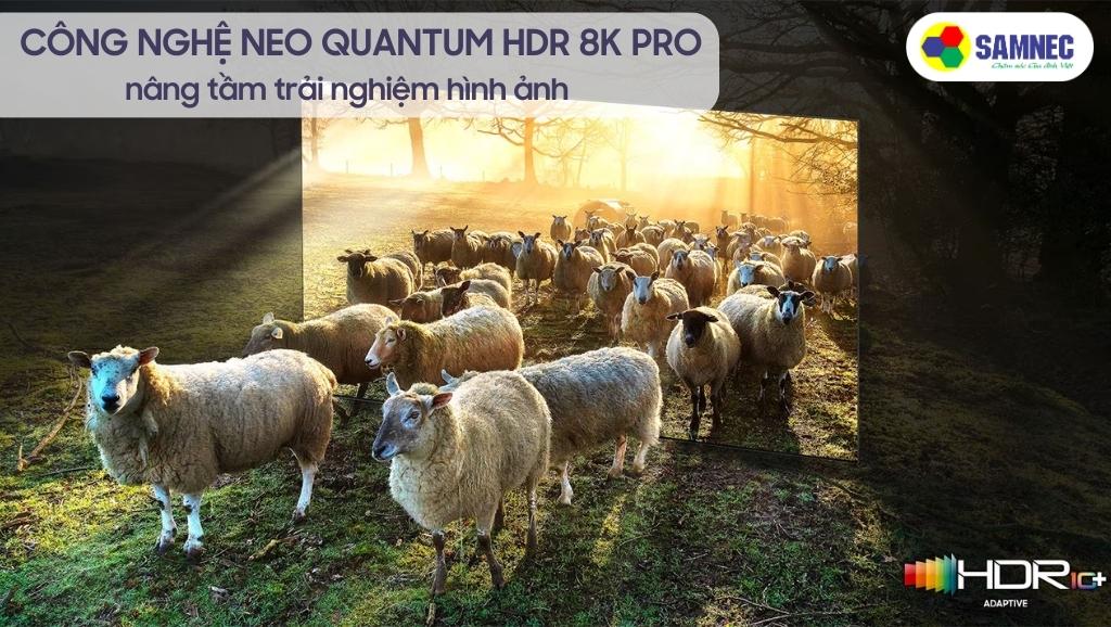 Công nghệ Neo Quantum HDR 8K Pro của tivi Samsung QN800C