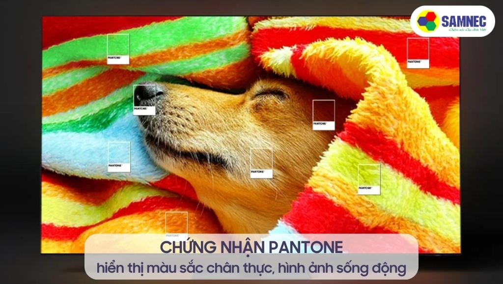 Chứng nhận PANTONE của tivi Samsung QN800C