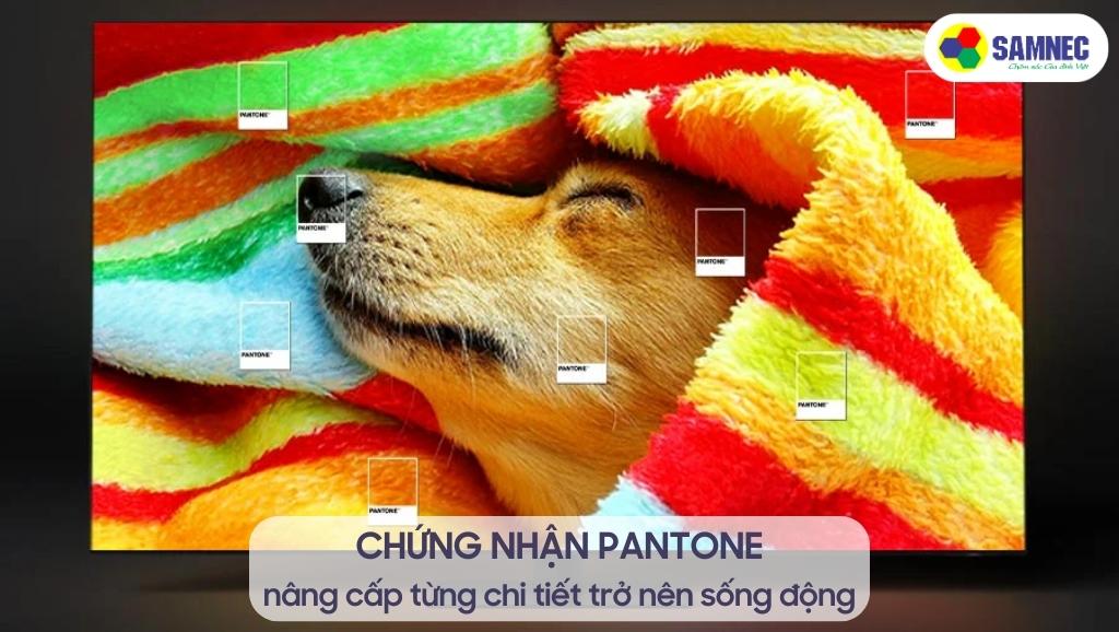 Chứng nhận PANTONE của tivi Samsung QN90C