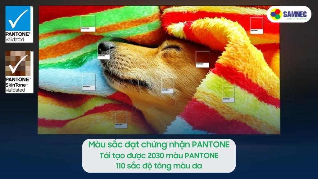 Tivi Samsung QN85C đạt chứng nhận màu sắc PANTONE