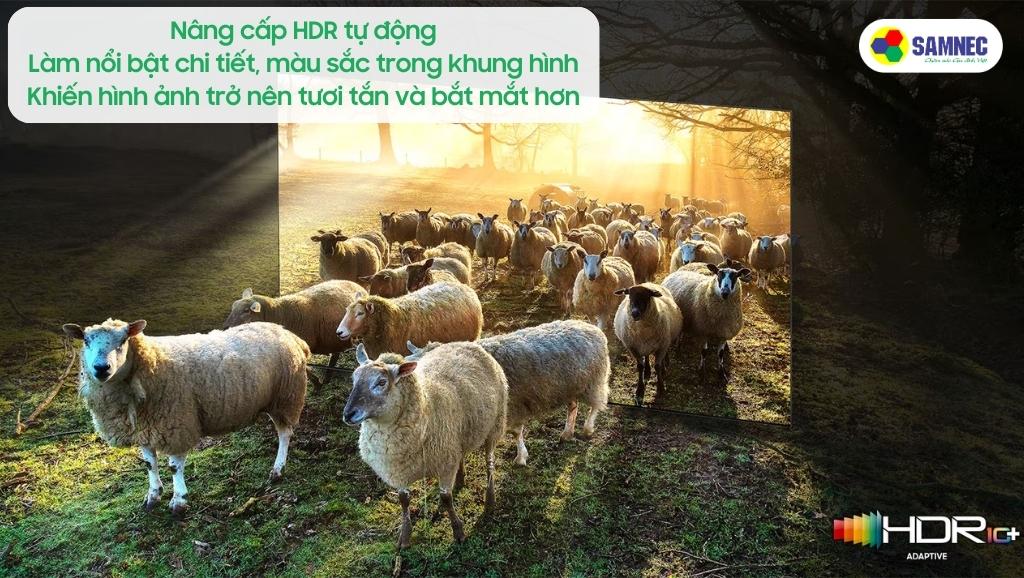 Chế độ nâng cấp HDR tự động của Tivi Samsung QN85C