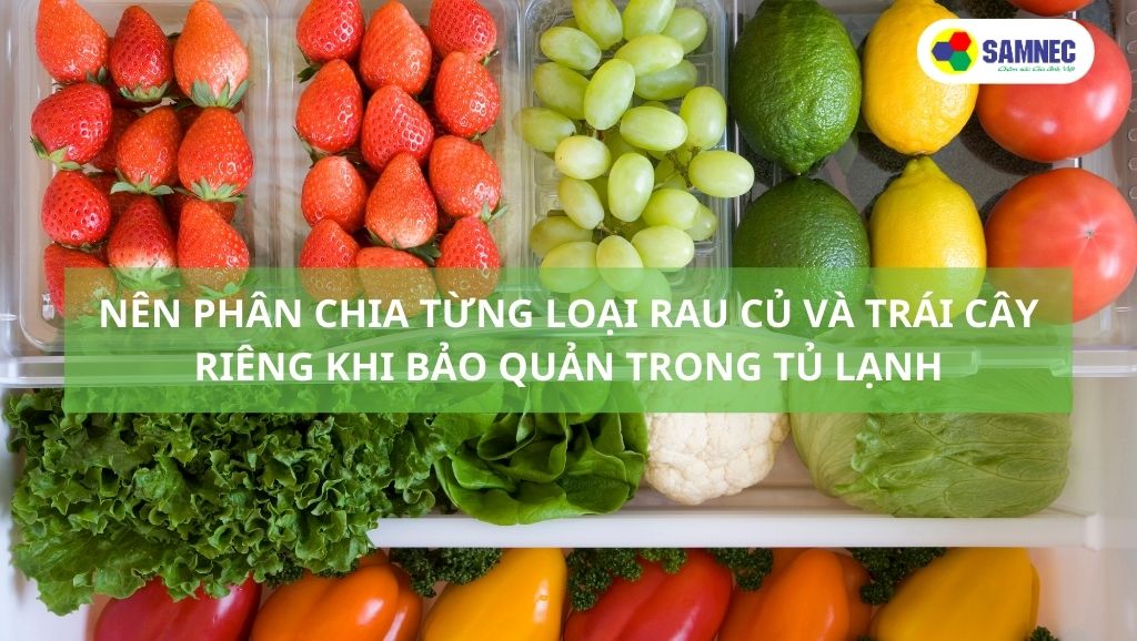 Nên phân chia từng loại rau củ và trái cây riêng khi bảo quản trong tủ lạnh