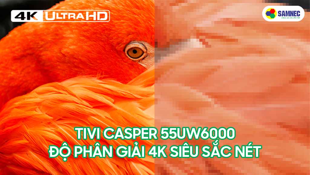 Trải nghiệm hình ảnh sắc nét trên tivi Casper Orchid 4K 55 inch 55UW6000