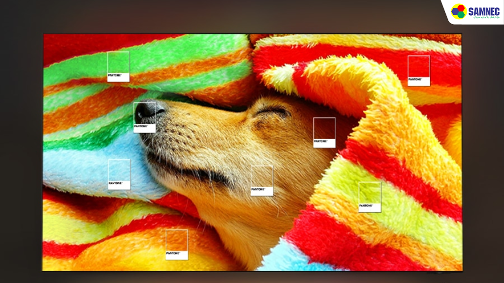 Màu sắc chuẩn PANTONE