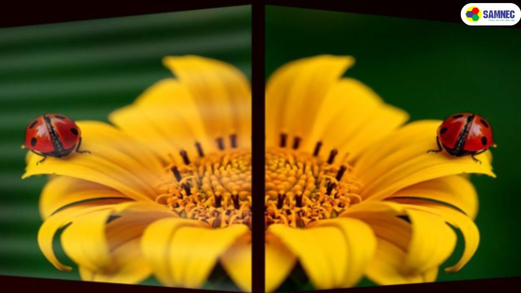 Tăng cường chất lượng hiển thị