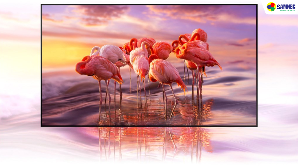 Màu sắc sống động và sắc nét