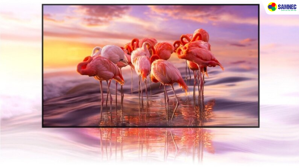 Chất lượng hình ảnh vượt trội