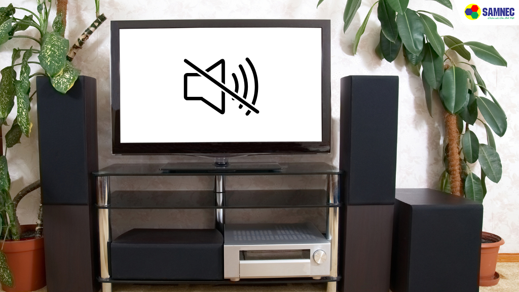Tivi có hình nhưng không có tiếng
