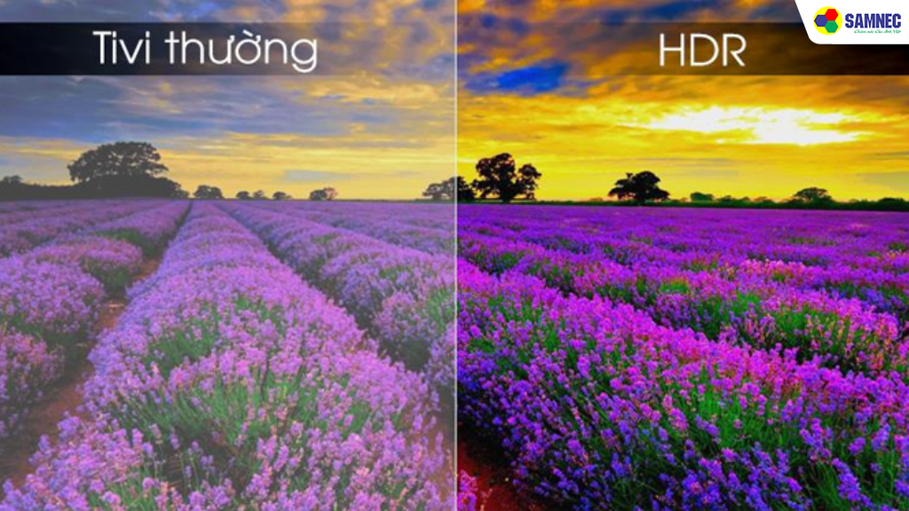 Chất lượng hình ảnh