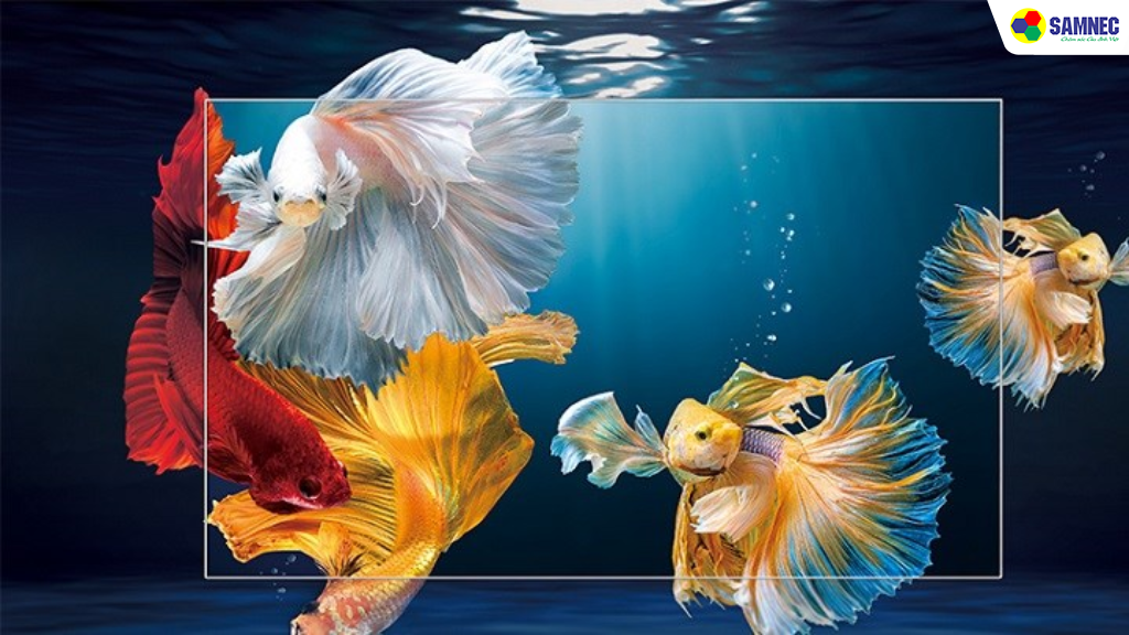 Hình ảnh sống động, sắc nét từng chi tiết