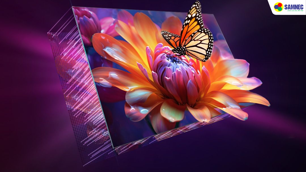 Công nghệ Quantum Dot Color cho màu sắc rực rỡ và sống động