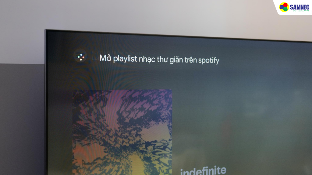 Google TV và trợ lý giọng nói