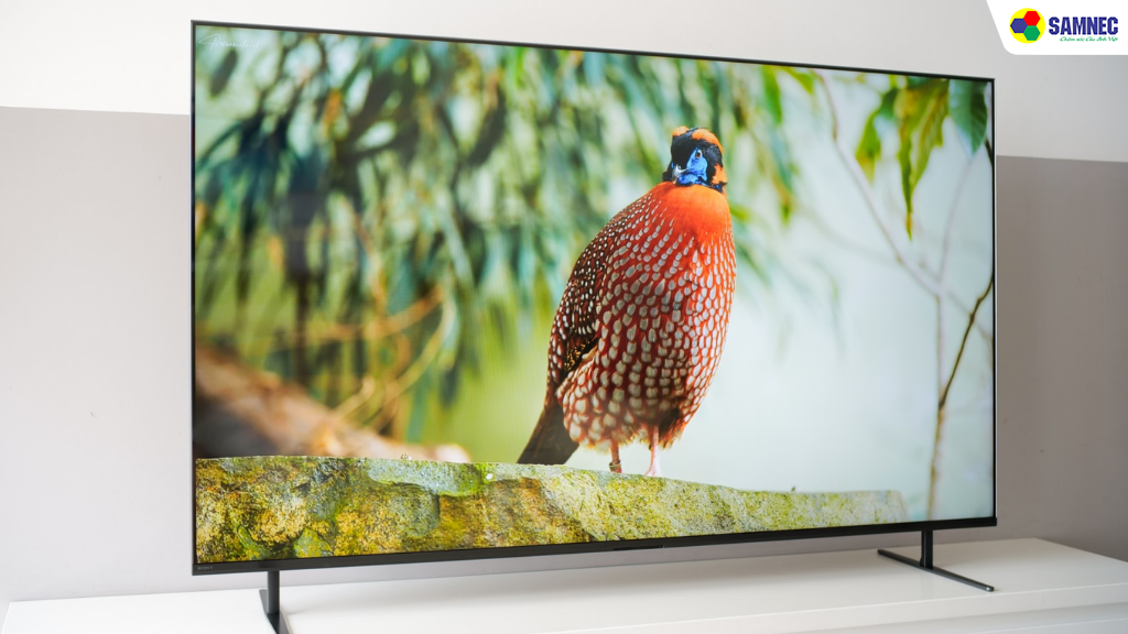 Trải nghiệm hình ảnh phong phú