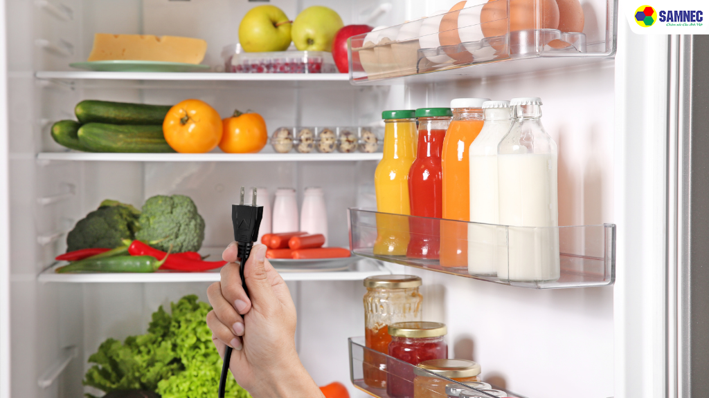 Có nên rút điện tủ lạnh khi về quê ăn Tết không?