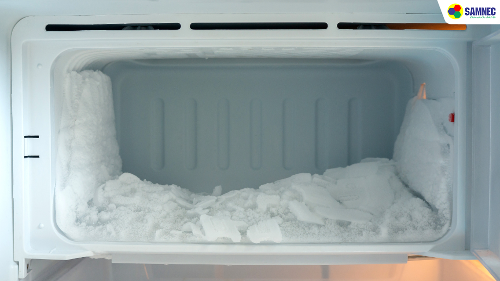 Lưu ý quan trọng khi vệ sinh tủ lạnh đón Tết