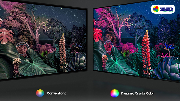 Dải sắc màu độc đáo, sắc nét cùng công nghệ Dynamic Crystal Color
