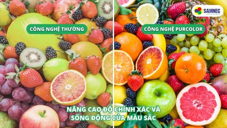 Công nghệ cải thiện màu sắc PurColor trên tivi Samsung