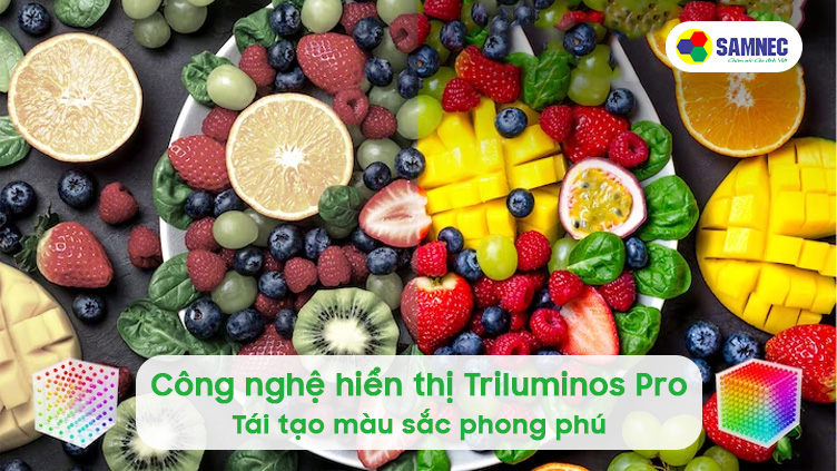 Công nghệ hiển thị TRILUMINOS™ trên tivi Sony 4K