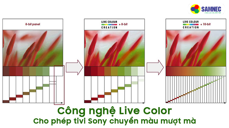 Công nghệ Live Color chuyển màu mượt mà trên tivi Sony 4K