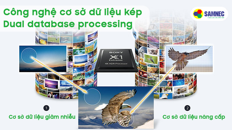 Công nghệ sử dụng cơ sở dữ liệu kép Dual database processing trên tivi Sony 4K