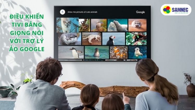 Điều khiển rảnh tay trên tivi thông minh Sony X80L và Sony X85L