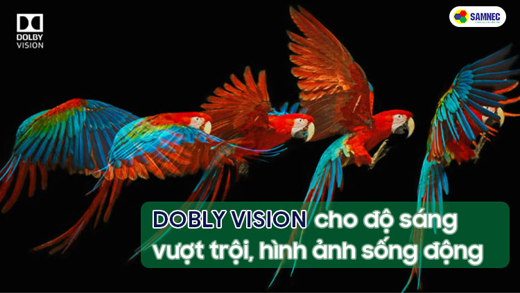 Dolby Vision điều chỉnh độ sáng để hiển thị màu đúng hơn trên tivi Sony