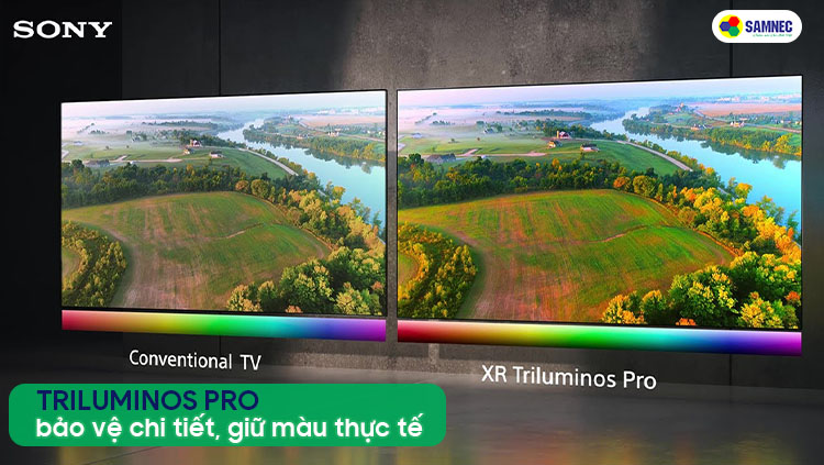 Công nghệ Triluminos Pro giúp hình ảnh giữ được màu sắc thực tế trên tivi Sony