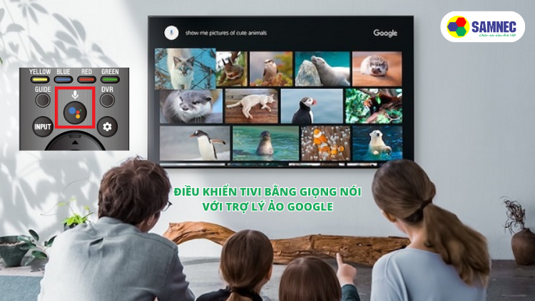 Trợ lý ảo Google hỗ trợ tiếng Việt trên trên tivi Sony XR-65X80L