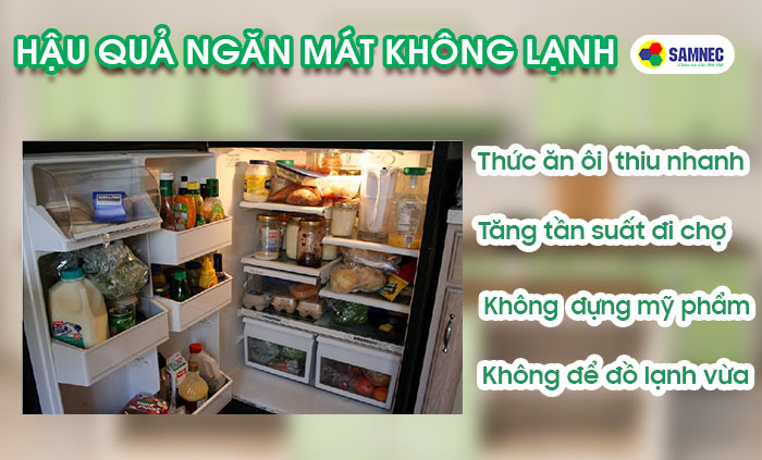 Sinh hoạt gặp nhiều khó khăn nếu ngăn mát tủ lạnh không lạnh