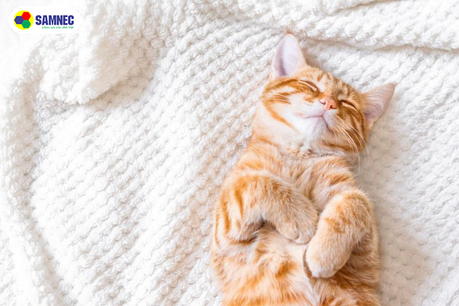 gia-dieu-hoa-samsung