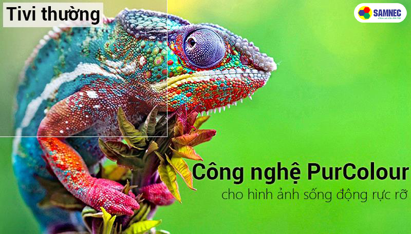 TV-Samsung-Samnec-Đien-May