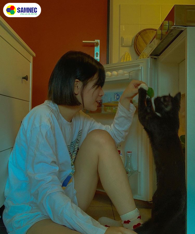 tu-lanh-hitachi-co-nen-mua-khong