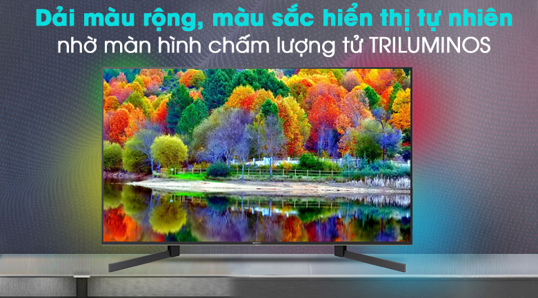 Android Tivi Sony 4K 49 inch KD-49X9500H - TRILUMINOS Display