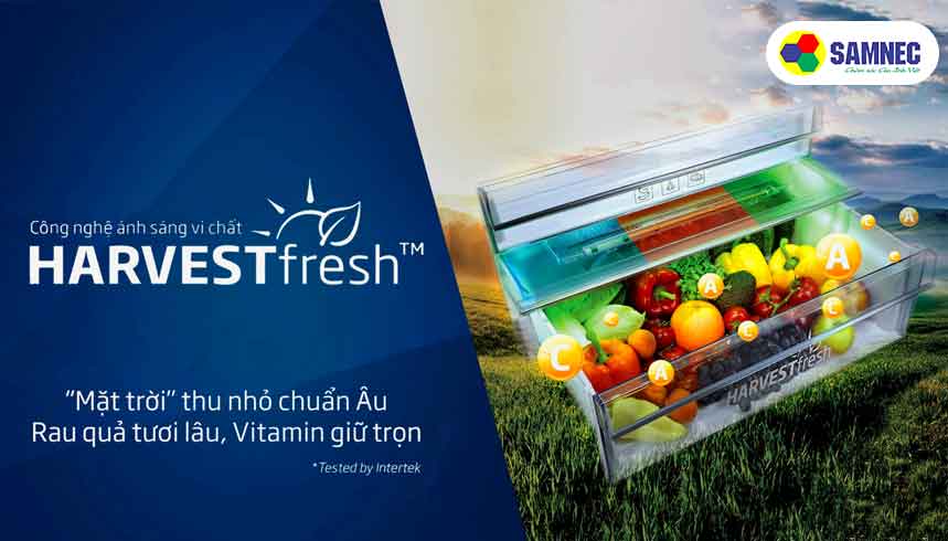 Công nghệ ánh sáng vi chất 3 màu Harvest Fresh trên tủ lạnh Beko 231 lít RDNT231I50VHFK