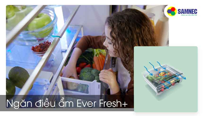 Công nghệ Ngăn điều ẩm EverFresh+ trên tủ lạnh Beko 401 lít RDNT401E50VZDHFSU