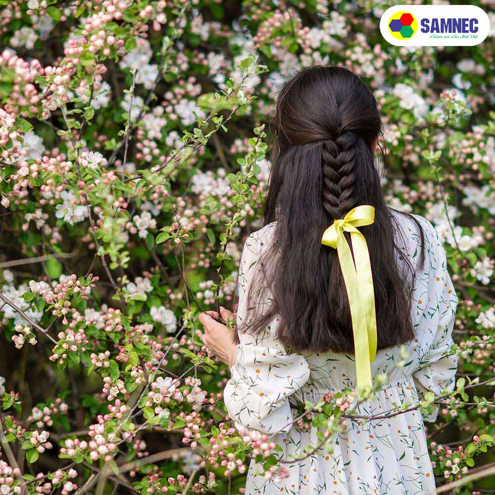 Chương trình làm mới khử mùi ẩm mốc, khó chịu trên máy sấy bơm nhiệt Toshiba TD-BK110GHV (MK)