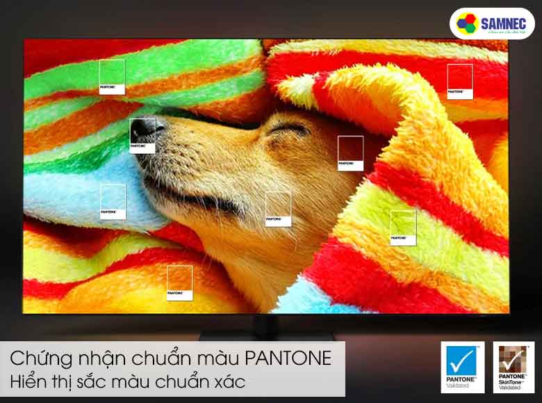 Đạt chứng nhận PANTONE trên Smart Tivi Samsung 75 inch QLED 4K 75QE1C