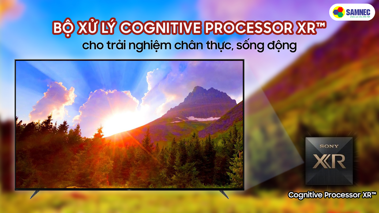 bộ xử lý trí tuệ nhận thức Cognitive Processor XR trên tivi A90J