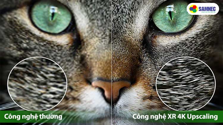 Công nghệ XR 4K Upscaling trên tivi Sony