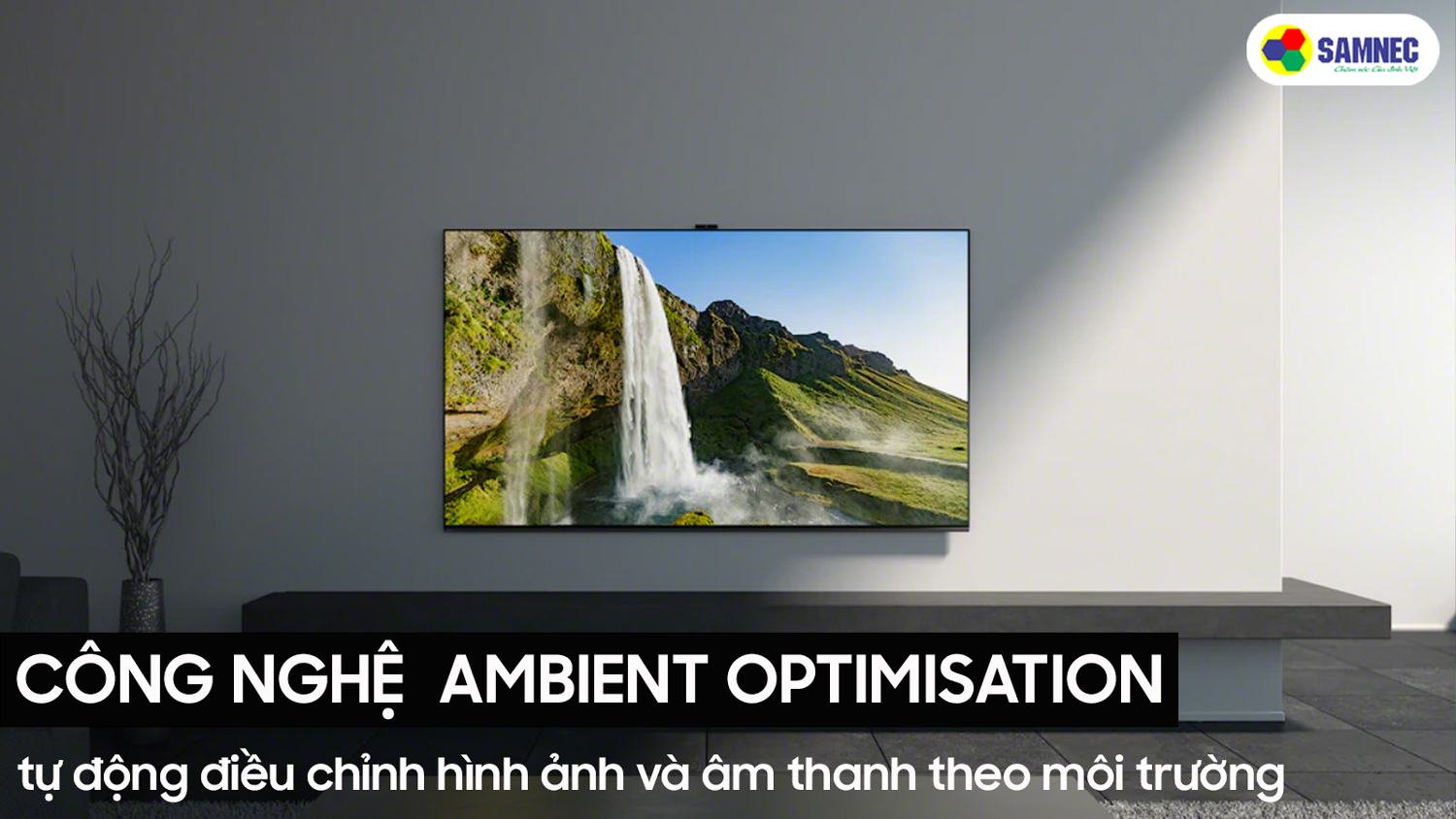 công nghệ Ambient Optimisation trên tivi Sony