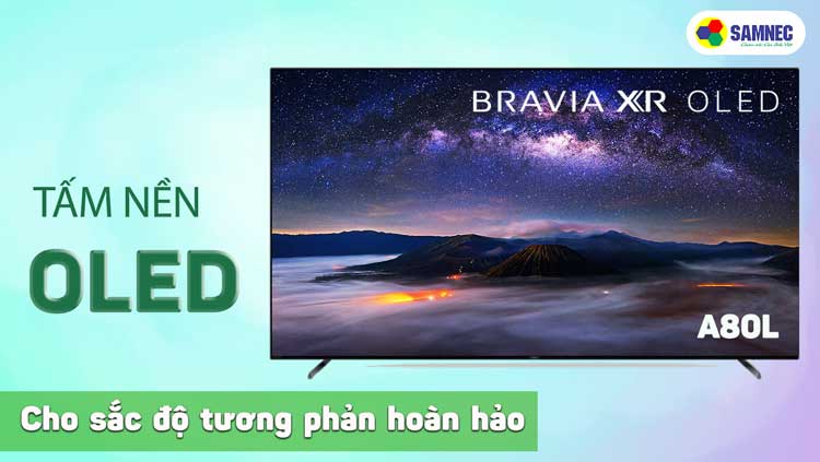 Tấm nền Oled của tivi sony A80L