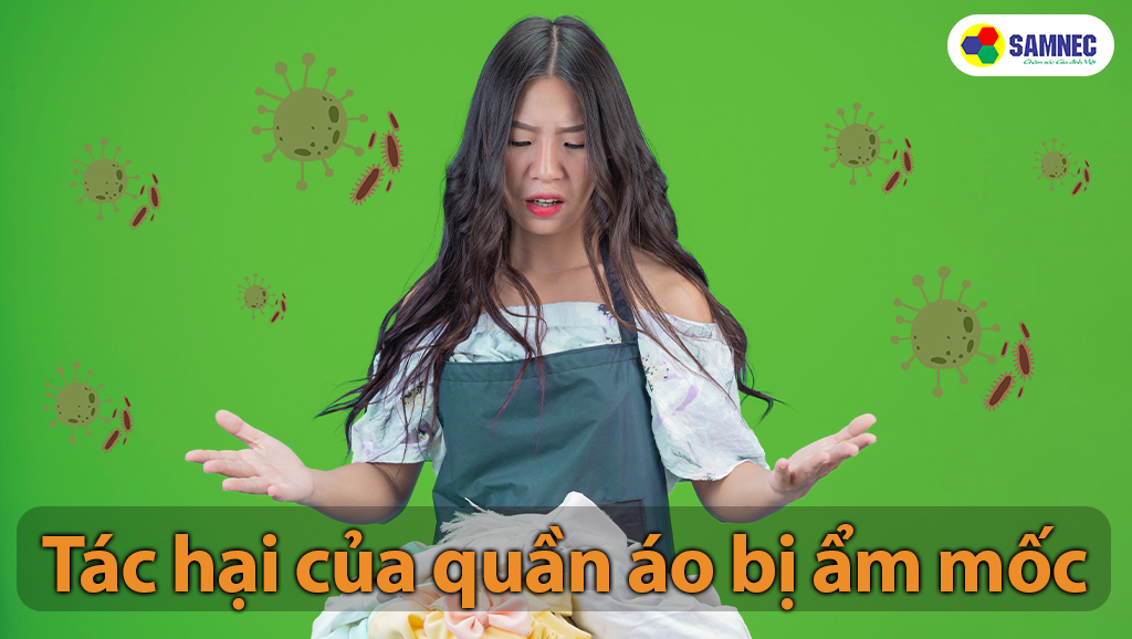 Tác hại của quần áo bị ẩm mốc