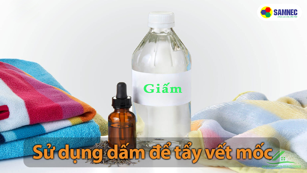 Sử dụng dấm để tẩy vết mốc hiệu quả